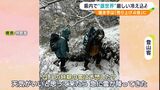 登山客ブルブル「最初晴れてたのに『えっ?』って」「恵みの雪」スキー場は歓喜！焼き芋屋もホクホク顔　静岡で積雪　今季1番の冷え込みの影響で　|　静岡のニュース | SBSNEWS | 静岡放送