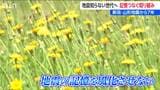 新潟・山形地震から7年 記憶と教訓 次世代へつなぐ取り組み 被災者の手作りイベント開催 新潟・村上市|TBS NEWS DIG