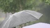 北陸地方が梅雨入り 平年並み、去年より5日遅く 気象庁|TBS NEWS DIG