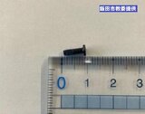 小学校で食べた給食の中からネジ・配膳中に混入か|TBS NEWS DIG