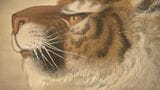 岡山県立美術館で開催中の特別展「美をたどる皇室と岡山」 後期のみどころを学芸員が解説|TBS NEWS DIG
