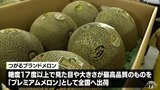 糖度17度以上!最高級ブランドメロンの全国出荷始まる 青森県つがる市 | 青森のニュース│ATV NEWS│青森テレビ