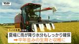 稲刈りシーズン到来！…しかしコメ農家を悩ませる「概算金」大幅値下げ　平年並みの収穫も、国産米の需要減少か（山形・酒田市）　|　山形のニュース│TUYテレビユー山形