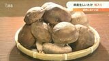 鍋料理に最適 大分県産「生しいたけ」旬入り宣言 | 大分のニュース|OBS NEWS|大分放送