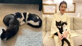 【藤あや子】愛猫オレオが弟・マルを枕に「機能性が高いことに気づいてしまった」にじみ出るきょうだい愛　フォロワーも「枕ショット」投げ合う|TBS NEWS DIG