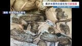 鼻をつく臭い、ハエも大量発生 「たい肥」を入れたと見られる土のうを大量に野積み 熊本県が行政指導 市民団体は刑事告発の方針|TBS NEWS DIG