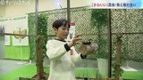 触って観察!イモリに「かわいい」ドクターフィッシュにカブトムシ、クワガタも 富山でイベント | 富山のニュース|天気・防災|チューリップテレビ