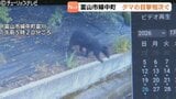 自宅の防犯カメラにクマ　用水路を飛び越え行方くらます　富山市婦中町でクマの目撃相次ぐ　|TBS NEWS DIG