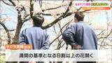「ひょっとして、わくわくして来ました」仙台でサクラ満開“観測史上最も早く” | 宮城のニュース│tbc NEWS│tbc東北放送