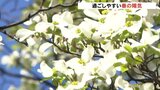 日中は20℃超の５月中旬から下旬並みの暖かい一日に　|　富山のニュース｜天気・防災｜チューリップテレビ
