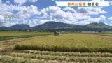 黄金色の秋到来　一足早い新米の収穫始まる　農家からは買取価格やコスト高騰を不安視する声も　熊本・阿蘇　|　熊本のニュース｜RKK NEWS｜RKK熊本放送