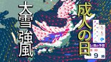 【大雪・寒波】3連休を直撃「冬将軍」　日本海側は猛吹雪、太平洋側も一部で雪か⋯成人の日（1月12日）の天気は？|TBS NEWS DIG