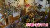 木綿などの生地で花を表現する「布花」 日南市で作品展 26日まで | MRTニュース | MRT宮崎放送