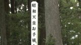 60年ぶりに愛媛で開催「全国植樹祭」 会場の整備始まる 昭和天皇皇后両陛下のお手植えスギも | 愛媛のニュース - Nスタえひめ|あいテレビは6チャンネル