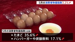 【速報】5月の全国消費者物価指数「3.2％」上昇　生鮮食品除く食料は47年ぶり歴史的上昇幅に| TBS CROSS DIG with Bloomberg