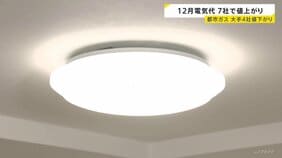 12月電気代　多くの地域で11月より値上がりへ　石油など燃料価格の上昇により　大手電力10社のうち7社で値上がり|TBS NEWS DIG