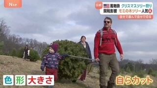 自分たちだけのツリーを探す「クリスマスツリー狩り」色や形・大きさを選んで自分でカットして持ち帰り　アメリカの冬の風物詩| TBS CROSS DIG with Bloomberg