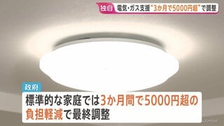 電気・ガス料金支援“3か月間で5000円超の負担軽減”で最終調整　3兆円規模の補正予算案の全容判明| TBS CROSS DIG with Bloomberg
