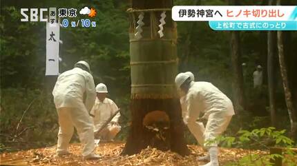 20年に一度「御杣始祭（みそまはじめさい）」伊勢神宮の式年遷宮