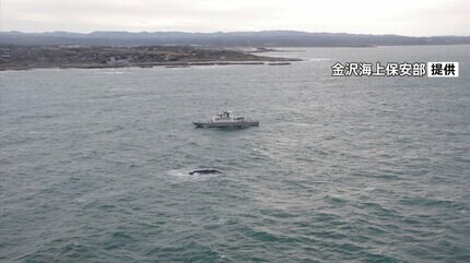 朝鮮半島から木造船漂流か 男性遺体との関連調査 石川・志賀町沖