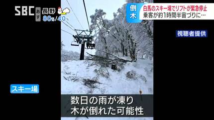 現場動画付き】スキー場のリフトが倒木で緊急停止…1時間半にわたり