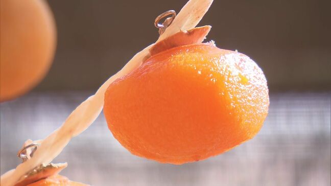 あんぽ柿作り最盛期　今年は豊作も…600個ほどクマに食べられる被害　福島・桑折町|TBS NEWS DIG