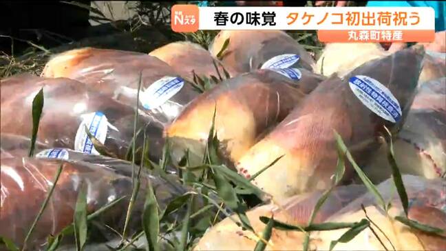 宮城・丸森町でタケノコが初出荷 「国の基準より厳しい」放射性物質の検査を"すべてのタケノコ"がクリア済み|TBS NEWS DIG