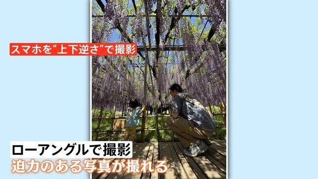 今年のGWは『近場』が人気! 箱根の新スポットは富士山間近で『映え写真』&栃木で見頃の藤の花は“逆さ撮影”で|TBS NEWS DIG