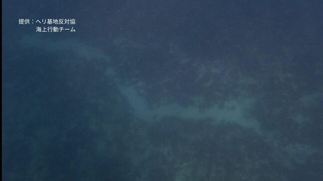 基地移設作業進む大浦湾「ジュゴンが海草を食べたような痕跡」市民団体が専門家の調査求める|TBS NEWS DIG