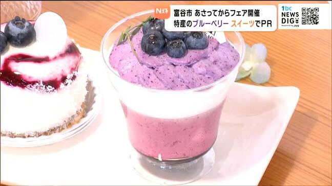 特産のブルーベリーをPR!ジェラートにモンブラン、デニッシュも 洋菓子店など12店舗がオリジナルスイーツ販売「とみやブルーベリースイーツフェア」6月27日から開催 宮城・富谷市|TBS NEWS DIG