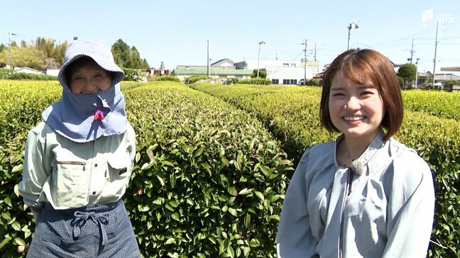 静岡ならでは!茶畑に囲まれた「菊川牧之原アメダス」お茶の生産者に聞く「今年のお茶は?」【くるちゃんさんぽ】|TBS NEWS DIG