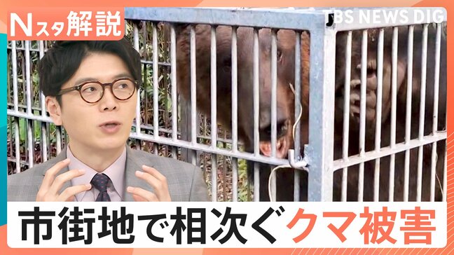 なぜ多発?各地でクマ被害、原因の1つに「境界線のあいまいさ」か、9月から施行「緊急銃猟」4つの条件【Nスタ解説】|TBS NEWS DIG