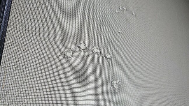 「網戸には爪痕がくっきり」長野県内では週末からクマの出没相次ぐ…塩尻市の学校ではサッシなどが壊される被害　中学校の部活動は休止に　けが人なし|TBS NEWS DIG