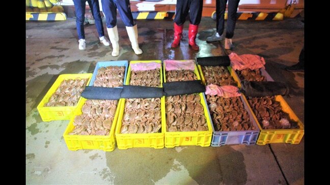 解禁日前に毛ガニを密漁 パトロール中の海保が不審な漁船2隻を発見、合わせて893匹約310キロ「獲りました」25歳~54歳の男4人を逮捕 北海道森町|TBS NEWS DIG