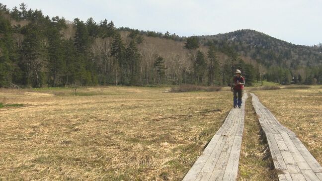 尾瀬国立公園の入山者　夏場に好天で17万人余2年ぶり増加　福島|TBS NEWS DIG