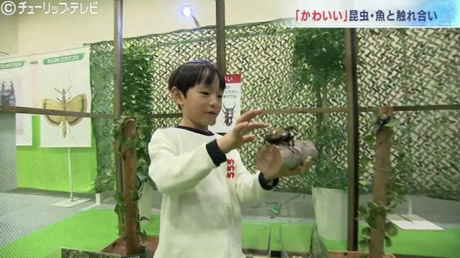 触って観察!イモリに「かわいい」ドクターフィッシュにカブトムシ、クワガタも 富山でイベント|TBS NEWS DIG