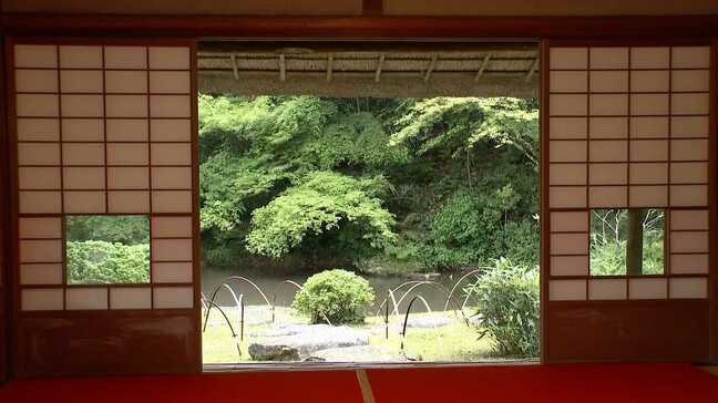 ”思わず深呼吸したくなる”新緑 国の名勝「九年庵」 春の公開は5月3日から|TBS NEWS DIG