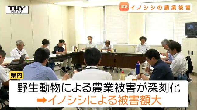 年々深刻化する鳥獣被害...個体数管理や捕獲などを協議（山形）|TBS NEWS DIG