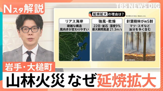 迫る炎の脅威…岩手・山林火災「数年に1回の規模」に　なぜ延焼拡大？“負のスパイラル”断ち切るには【Nスタ解説】|TBS NEWS DIG