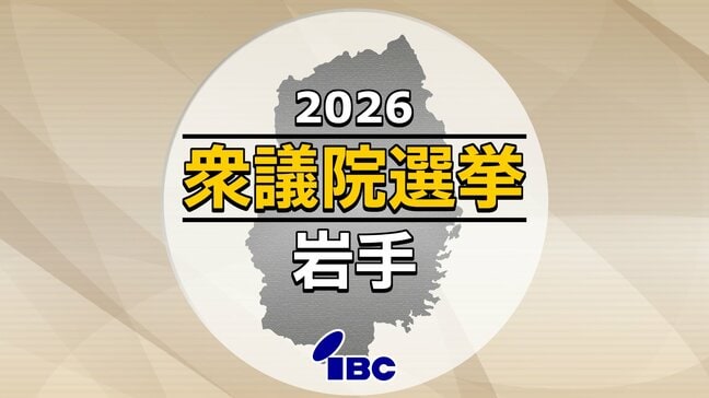 衆議院選挙公示　岩手県内の3選挙区に10人が立候補を届け出　選挙戦始まる　それぞれの第一声|TBS NEWS DIG