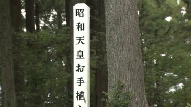 60年ぶりに愛媛で開催「全国植樹祭」 会場の整備始まる 昭和天皇皇后両陛下のお手植えスギも|TBS NEWS DIG