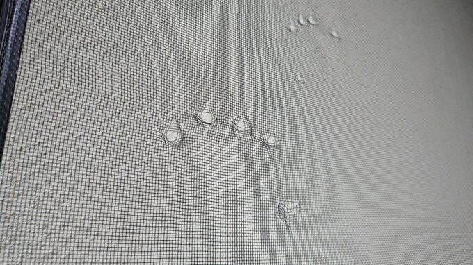 「網戸には爪痕がくっきり」長野県内では週末からクマの出没相次ぐ…塩尻市の学校ではサッシなどが壊される被害　中学校の部活動は休止に　けが人なし　|　SBC NEWS | 長野のニュース | SBC信越放送