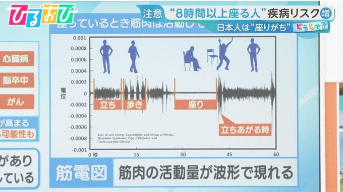 「1日何時間座ってる？」8時間以上は疾病リスク“座りすぎ”で経済損失約2825億円の試算も【ひるおび】|TBS NEWS DIG