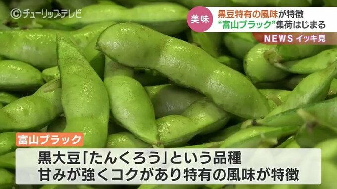 JAいみず野「富山ブラック」出荷始まる　甘みとコクで黒豆特有の風味|TBS NEWS DIG