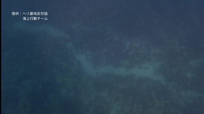 基地移設作業進む大浦湾「ジュゴンが海草を食べたような痕跡」市民団体が専門家の調査求める　|　沖縄のニュース｜RBC 琉球放送