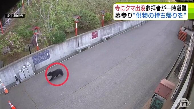「境内のすぐ真横で…」八戸市の寺にクマ出没　寺は注意喚起　クマを引き寄せる恐れがあるため供え物の持ち帰りなど呼び掛け　クマへの警戒感高まる|TBS NEWS DIG