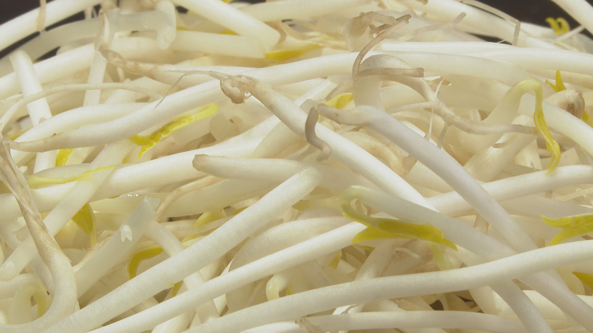 もやしでは全国初！“黒豆もやし”ジャパン・フード・セレクションで金賞