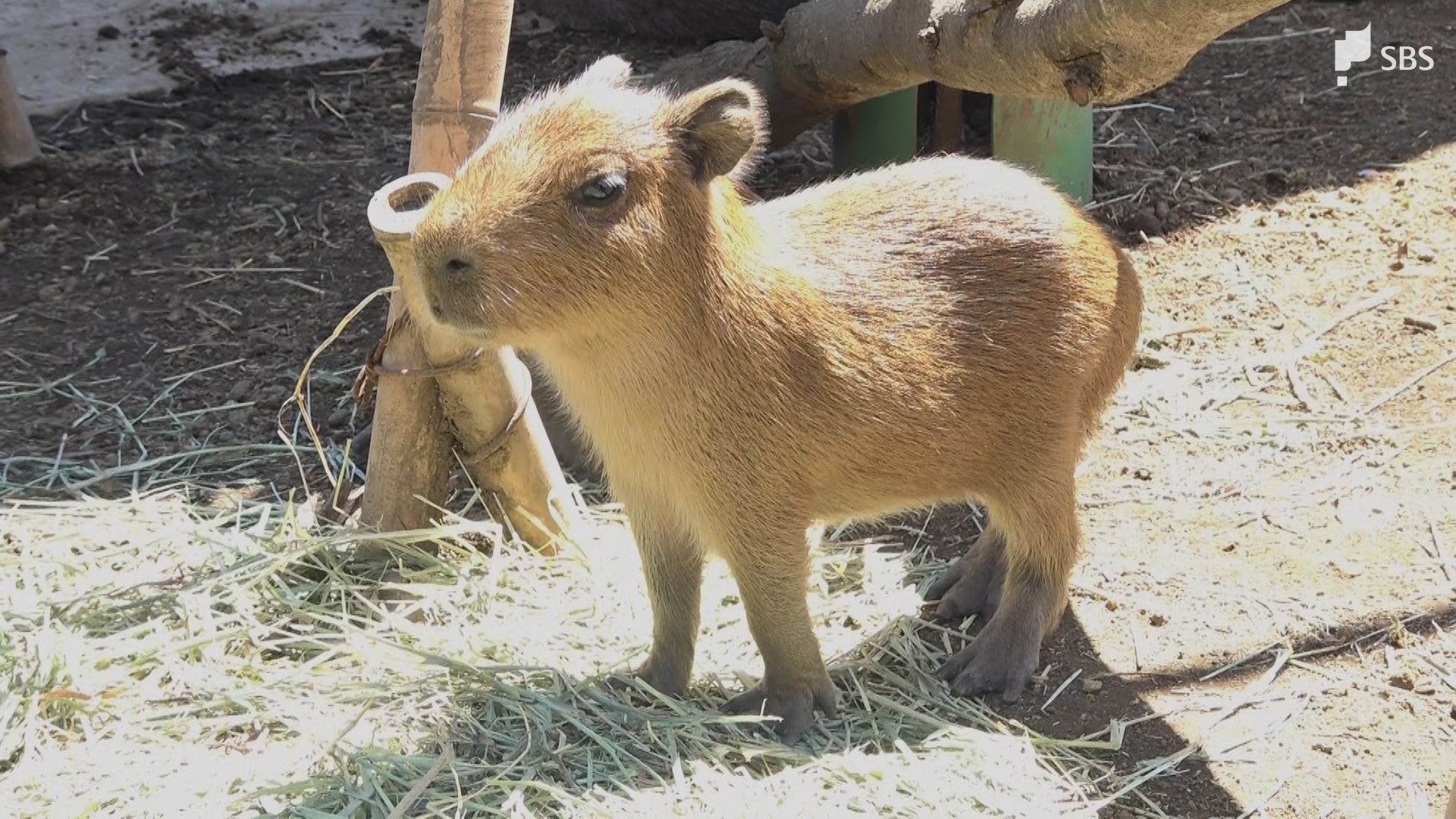 img_f48c8919a23b97b5ddcae7cd5c