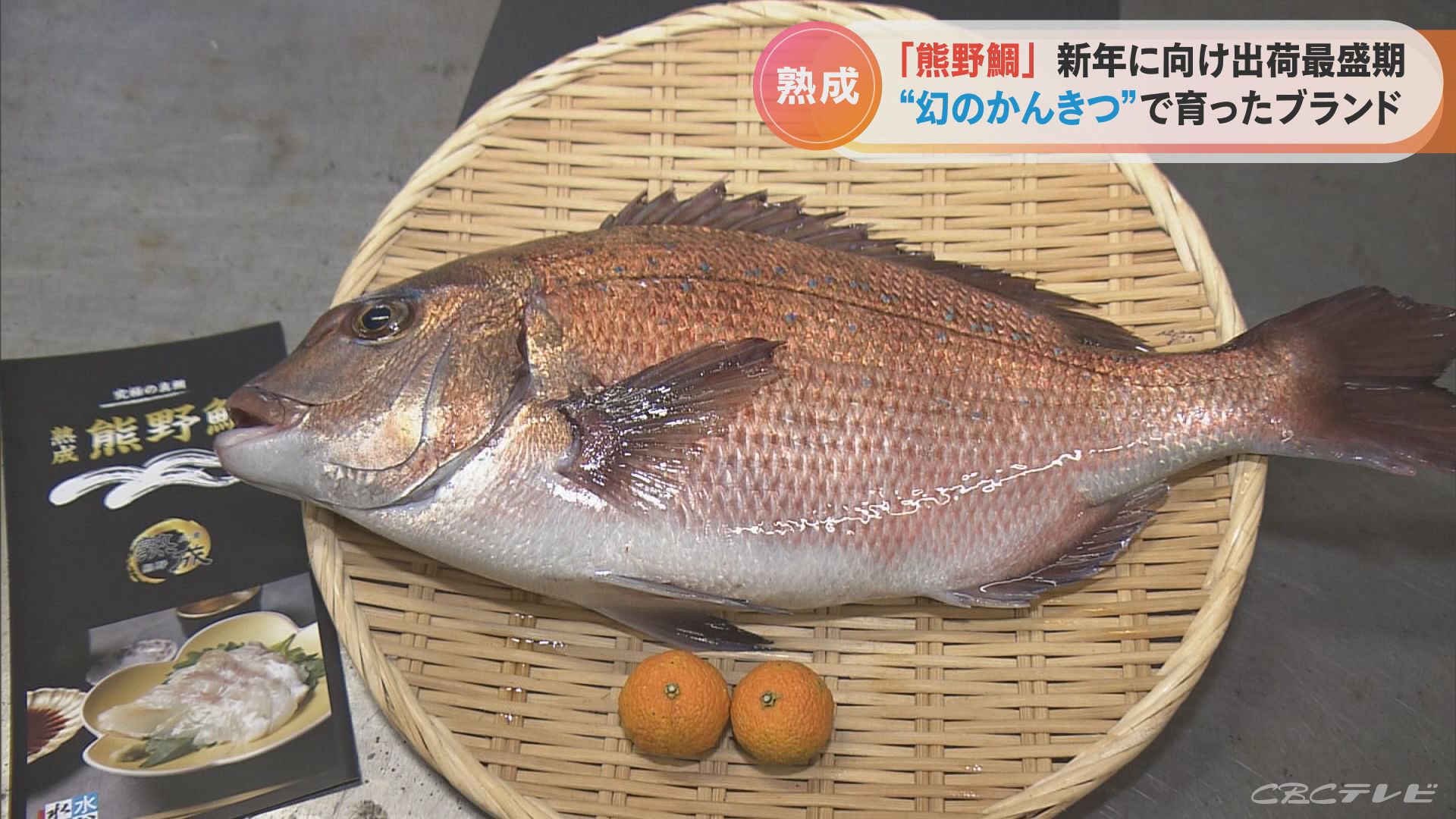 年末年始に向けて 「幻の柑橘」で育った新ブランド 「熟成熊野鯛」の