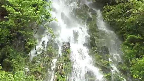 見られるのは1年に1度だけ 落差50メートル「幻の滝」新緑の中に糸を